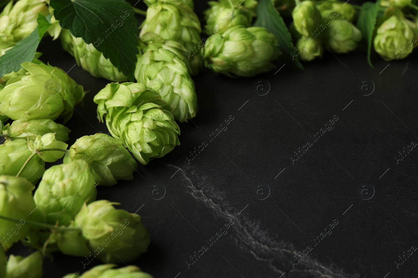 Photo of Fresh green hops and leaves on black table, closeup