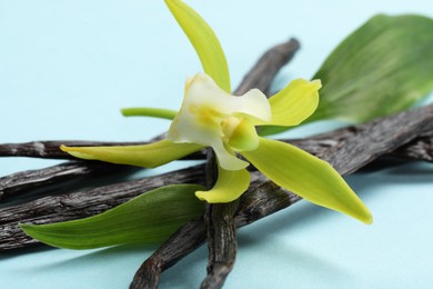 Photo of Vanilla pods, beautiful flower and green leaves on light blue background, closeup