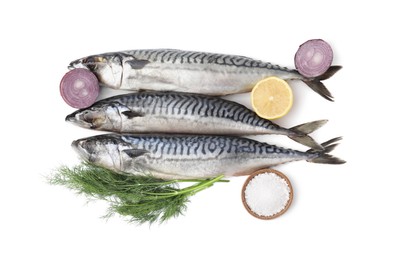 Photo of Tasty salted mackerels, cut onions, lemon and dill isolated on white, top view