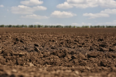 View of fertile ground surface on sunny day