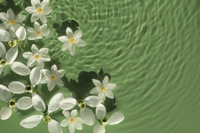 Photo of Beautiful flowers in water on green background, top view. Space for text