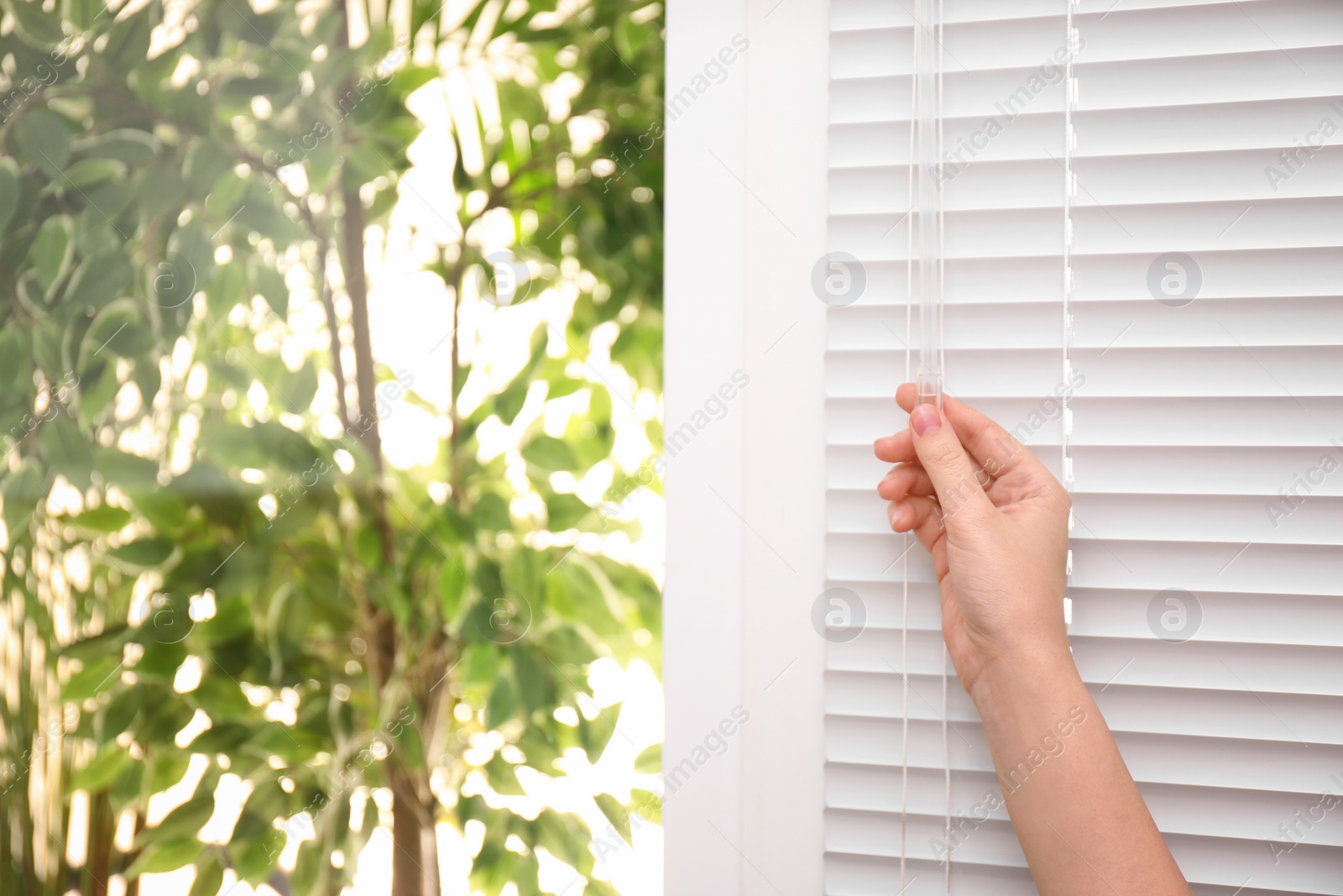 Photo of Woman opening white horizontal window blinds, closeup