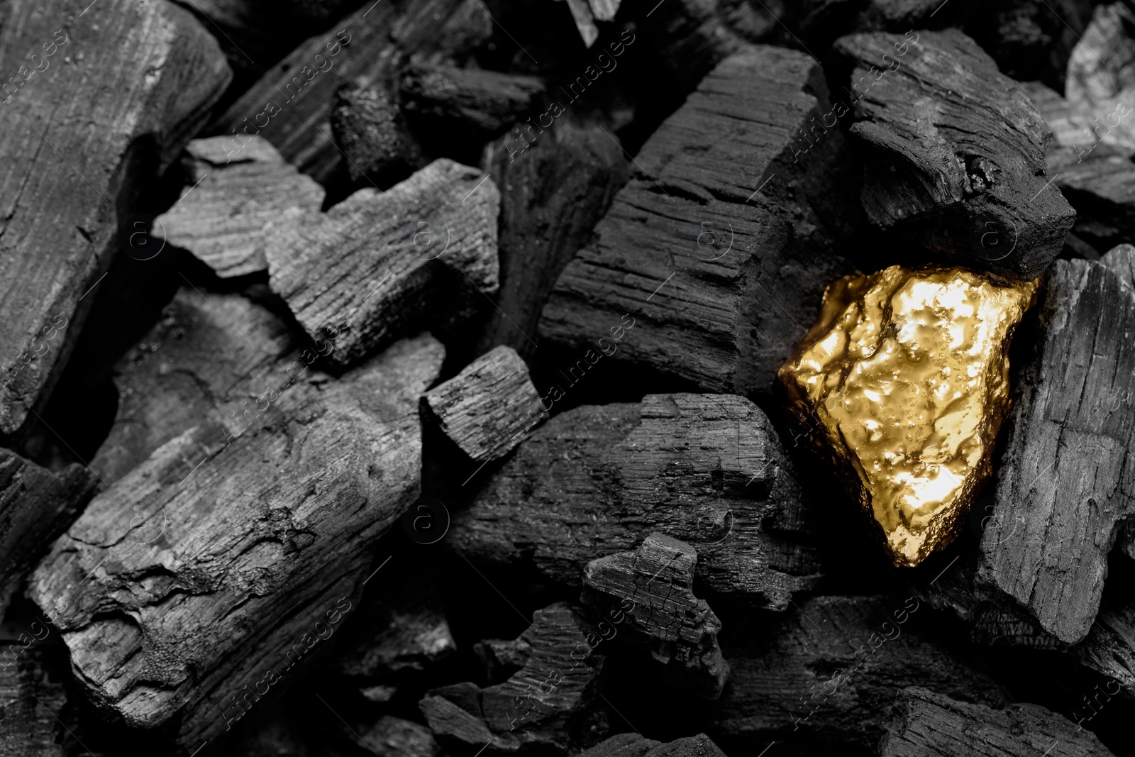 Photo of Shiny gold nugget on coals, closeup view