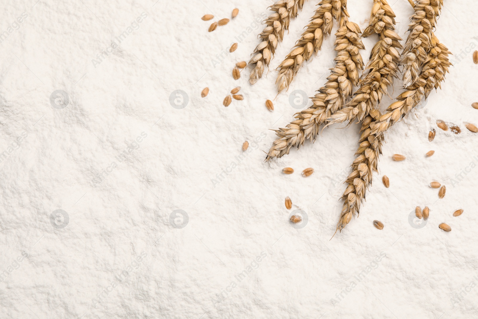 Photo of Spikes and wheat grains on flour, flat lay. Space for text