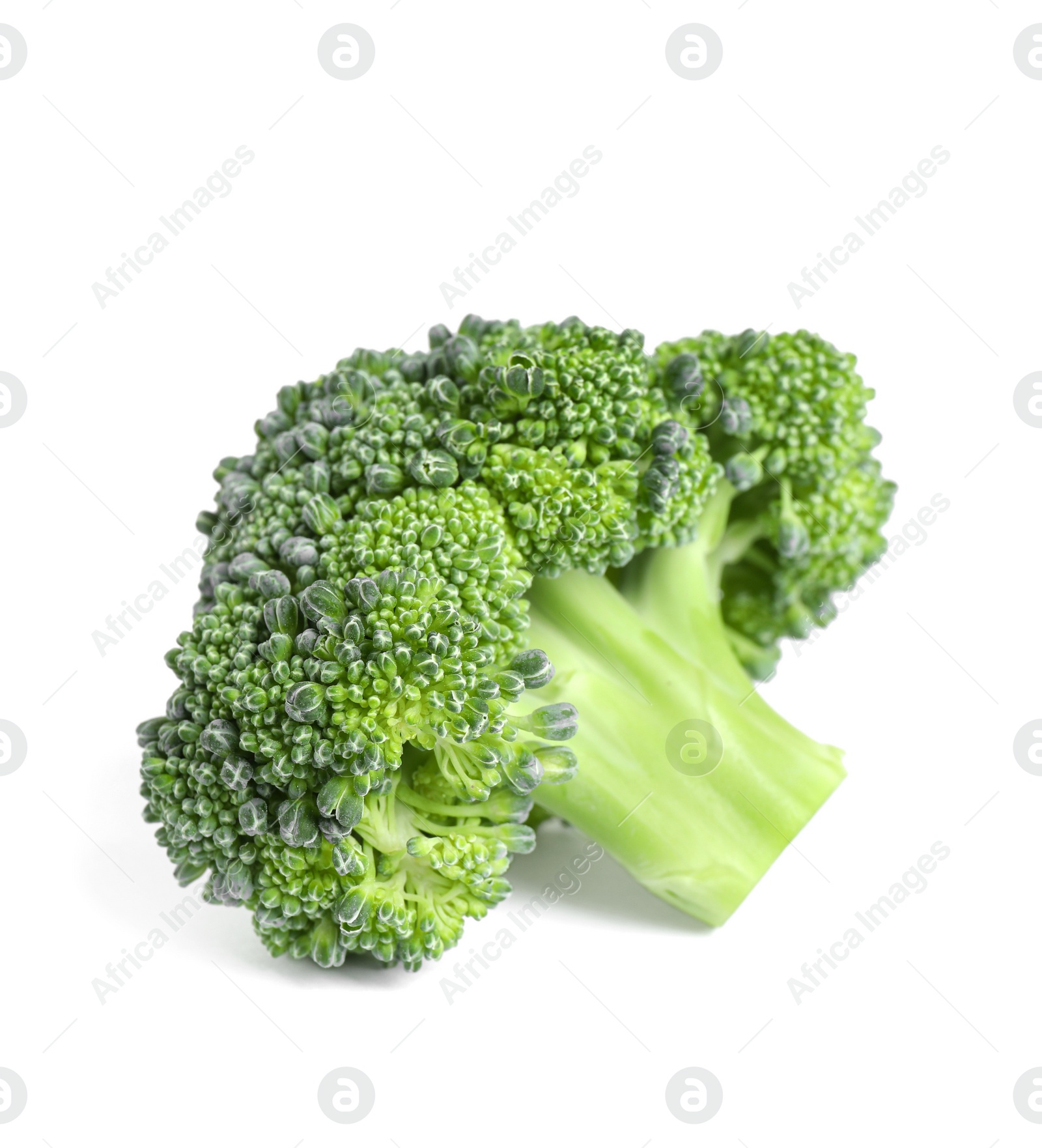 Photo of Fresh green raw broccoli on white background