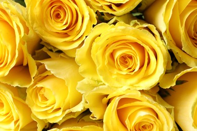 Beautiful bouquet of yellow roses as background, top view