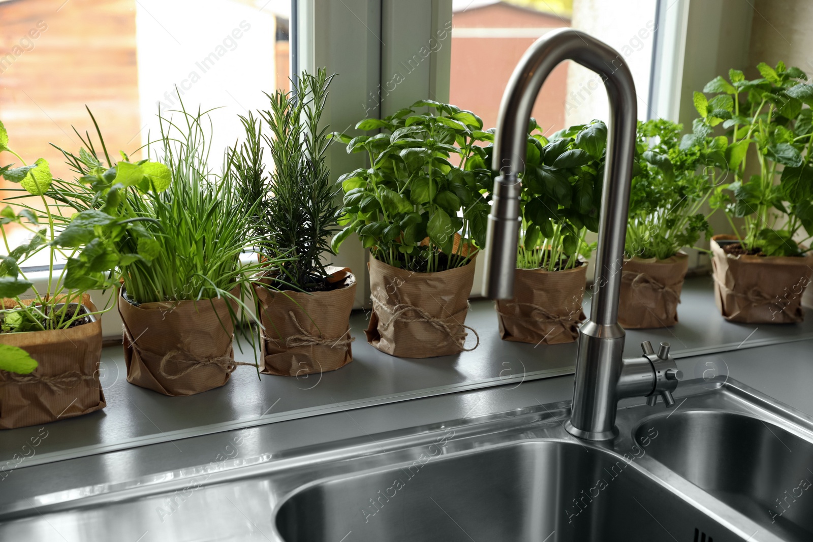 Photo of Different aromatic potted herbs on window sill near kitchen sink