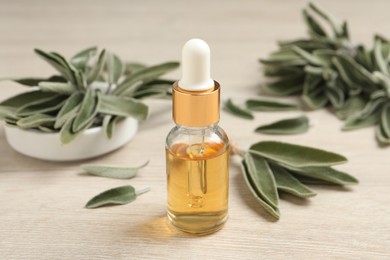 Photo of Bottle of essential sage oil, plant twigs and leaves on wooden table.