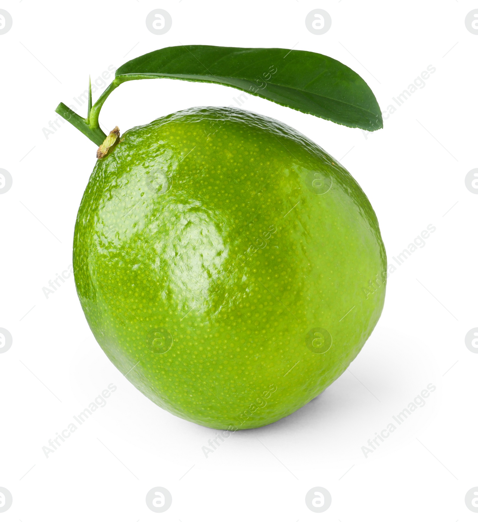 Photo of Fresh green ripe lime with leaf isolated on white