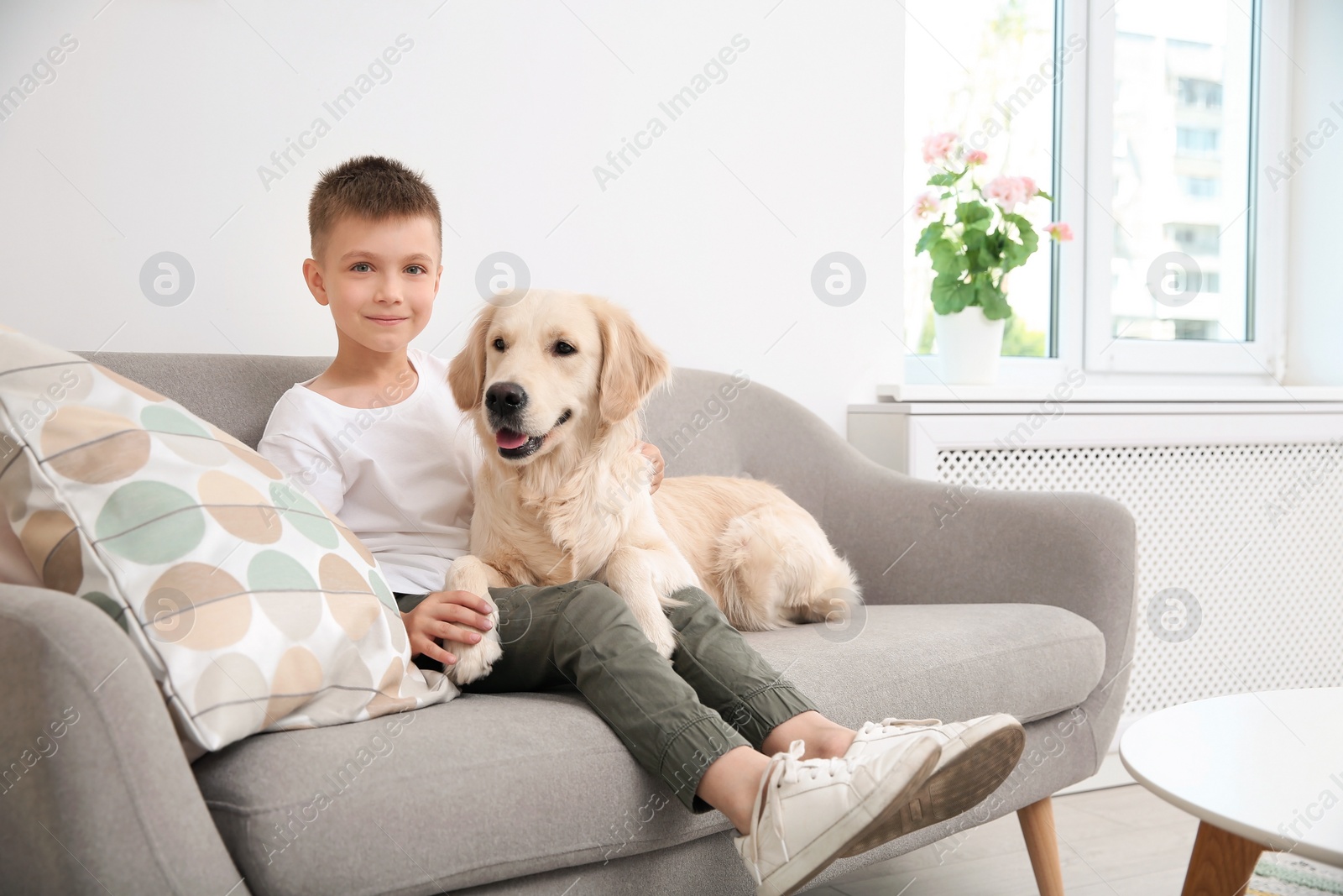 Photo of Cute little child with his pet on sofa at home