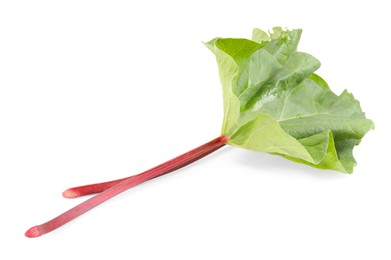 Fresh rhubarb stalks with leaves isolated on white