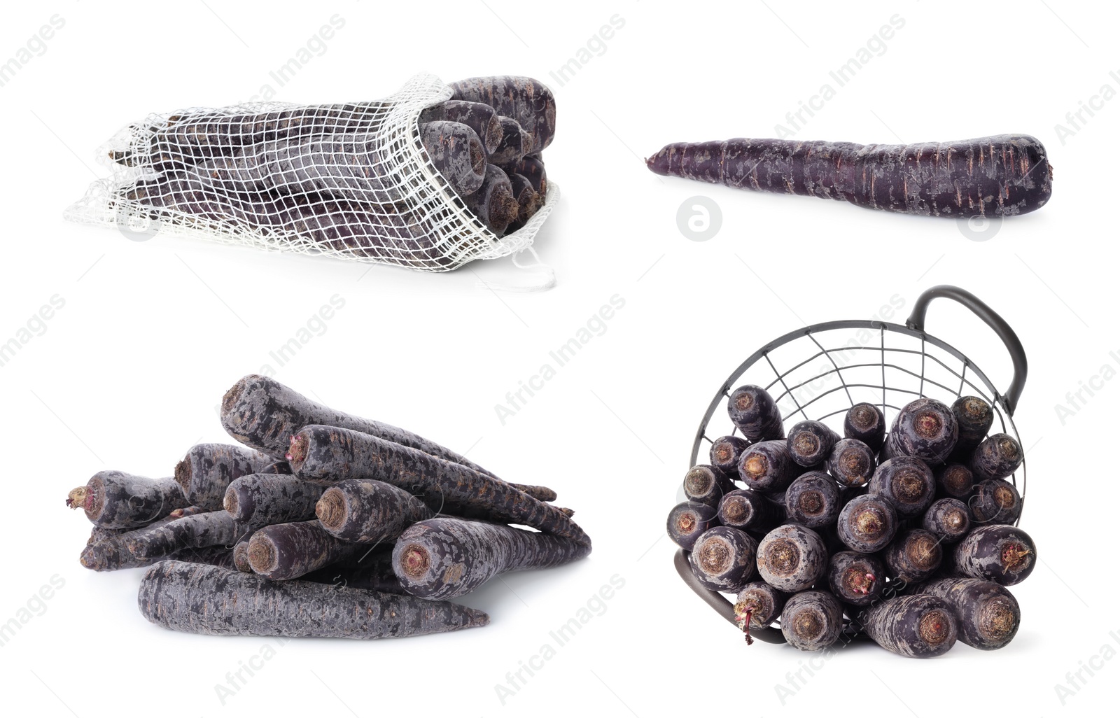 Image of Set of black carrots on white background