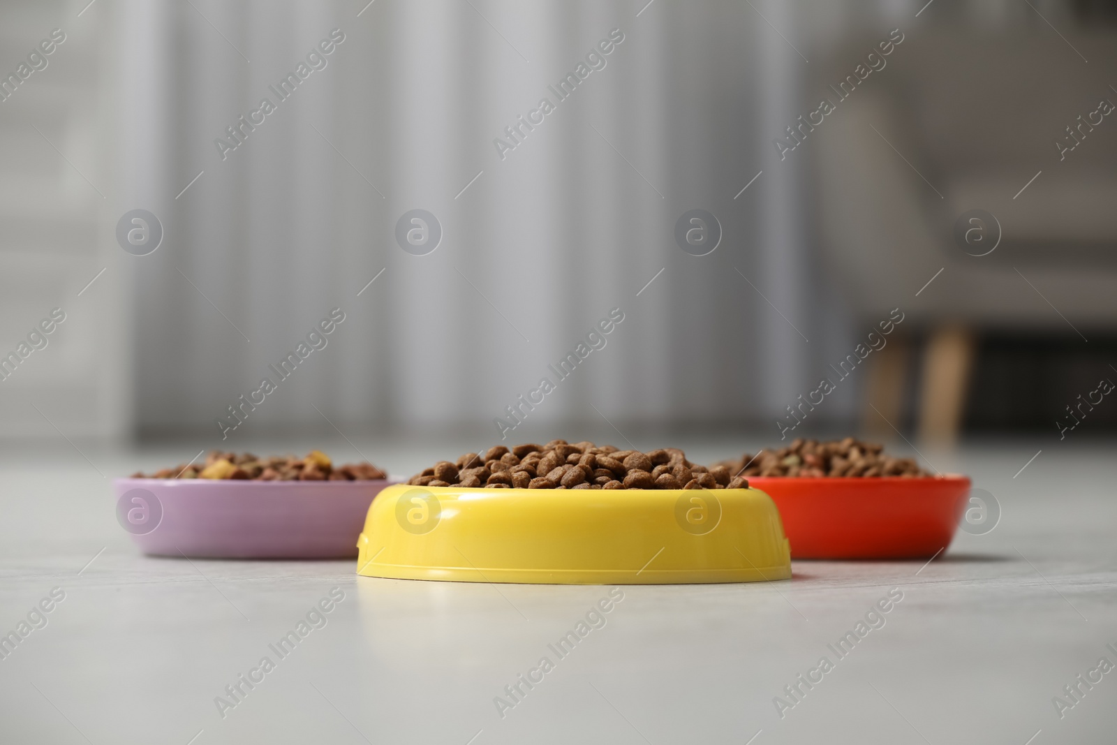 Photo of Dry food in pet bowls on floor indoors, space for text