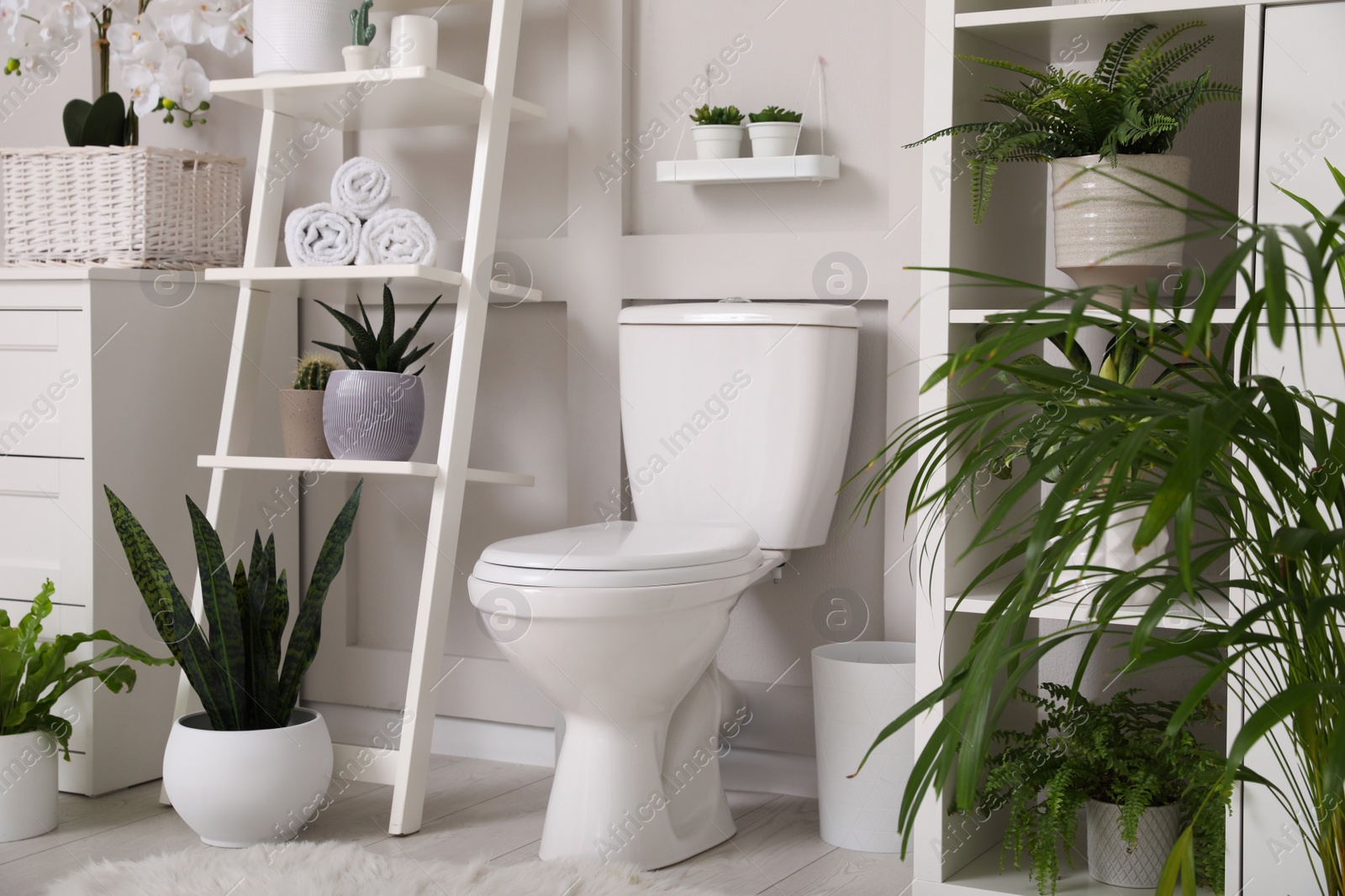 Photo of Stylish bathroom interior with toilet bowl and many beautiful houseplants