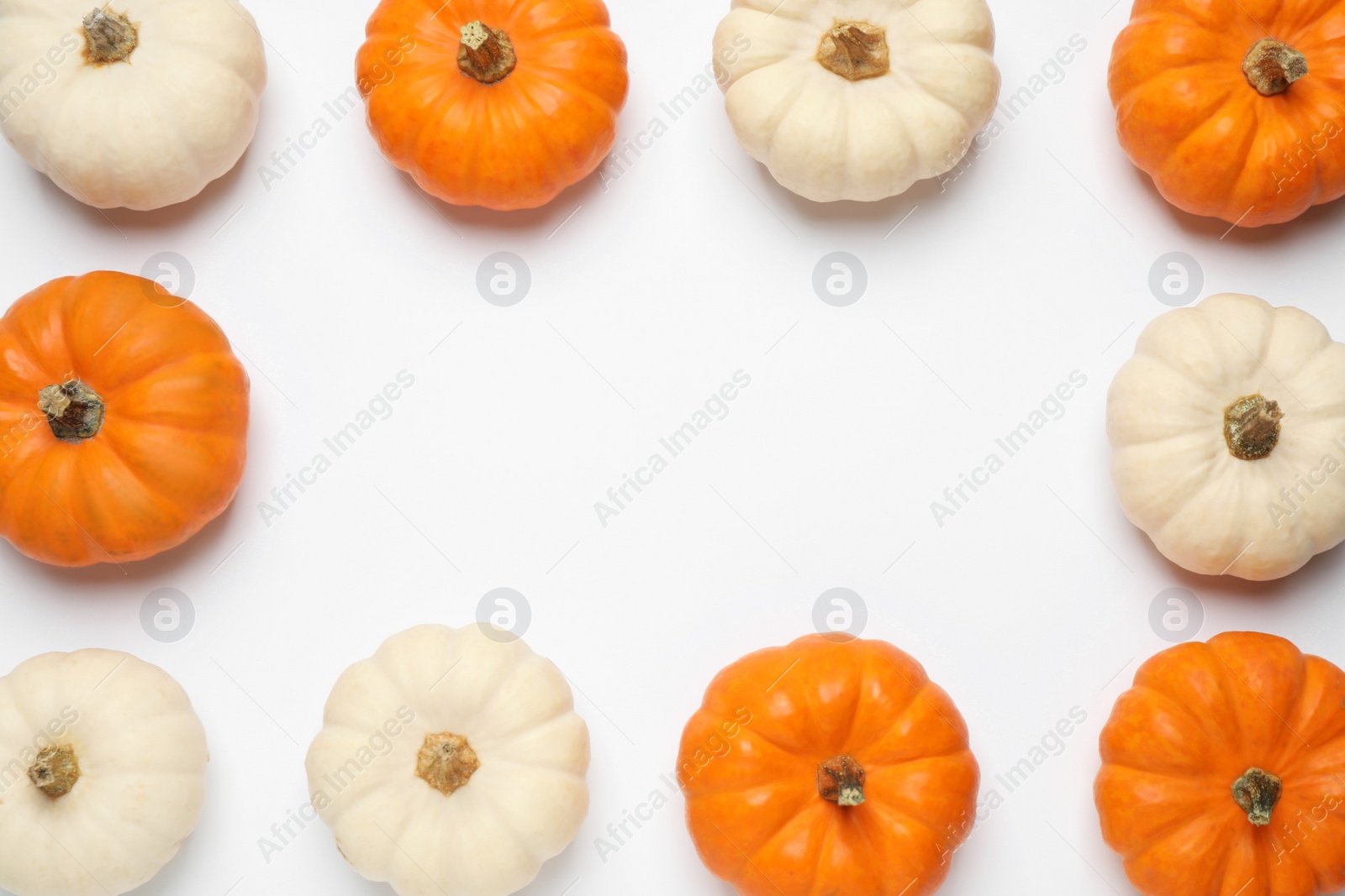 Photo of Frame made of different ripe pumpkins on white background, top view. Space for text