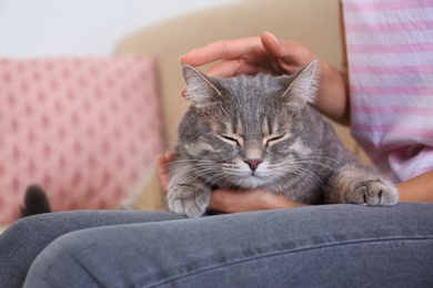 Young woman and cute gray tabby cat on couch indoors, closeup. Lovely pet