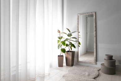 Photo of Large mirror and plants near window in light room