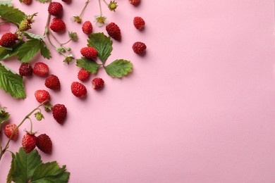 Wild strawberries, flowers and leaves on pink background, flat lay. Space for text