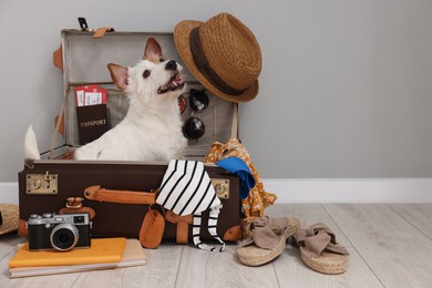 Photo of Travel with pet. Dog, clothes and suitcase indoors, space for text