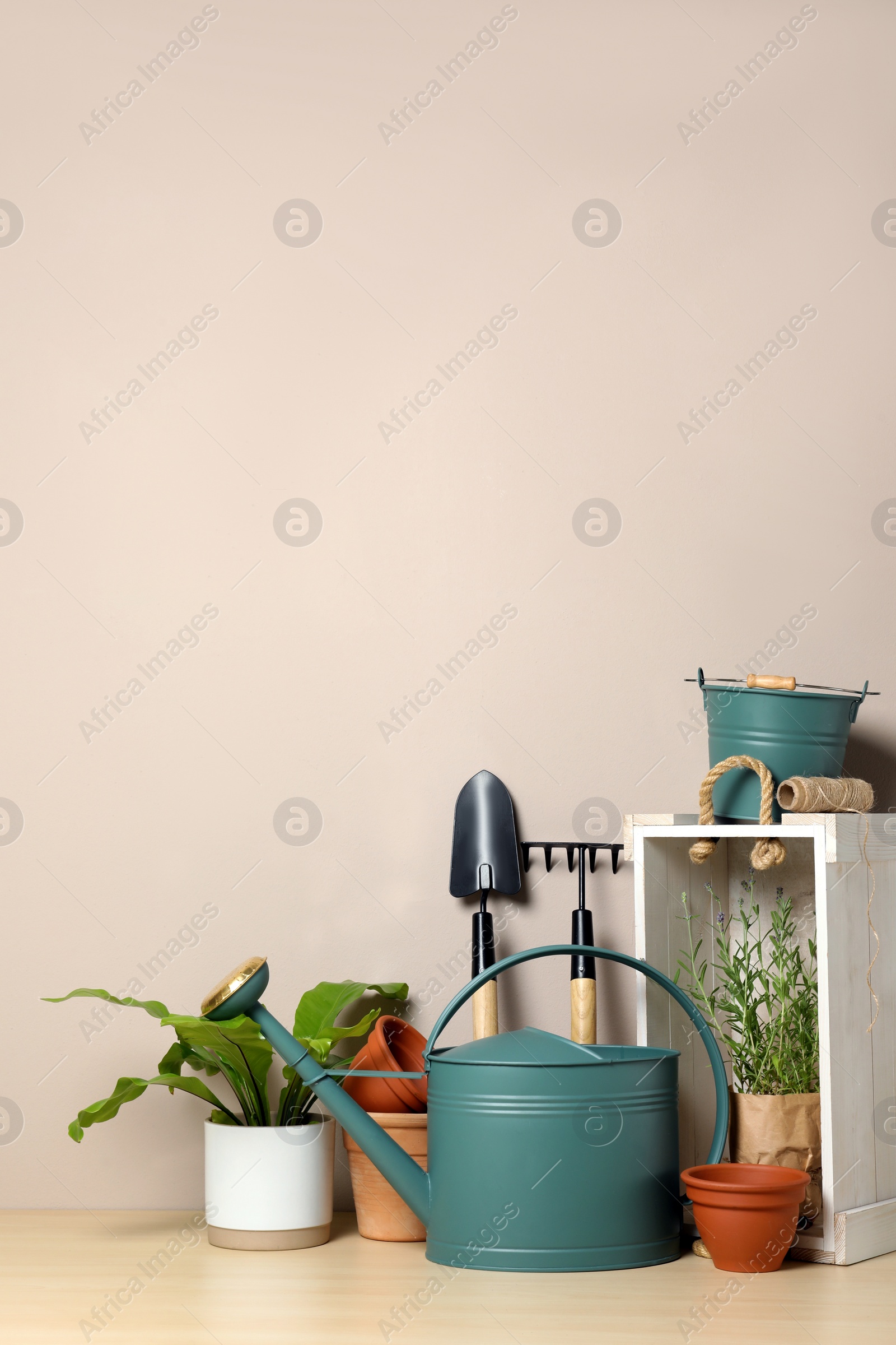 Photo of Gardening tools and houseplants on wooden table