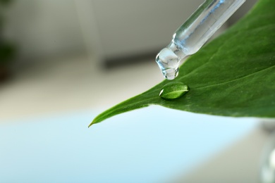 Photo of Clear liquid dropping from pipette on leaf against blurred background, closeup with space for text. Plant chemistry