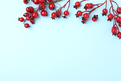 Photo of Winter composition with decorative branches on light blue background, flat lay. Space for text