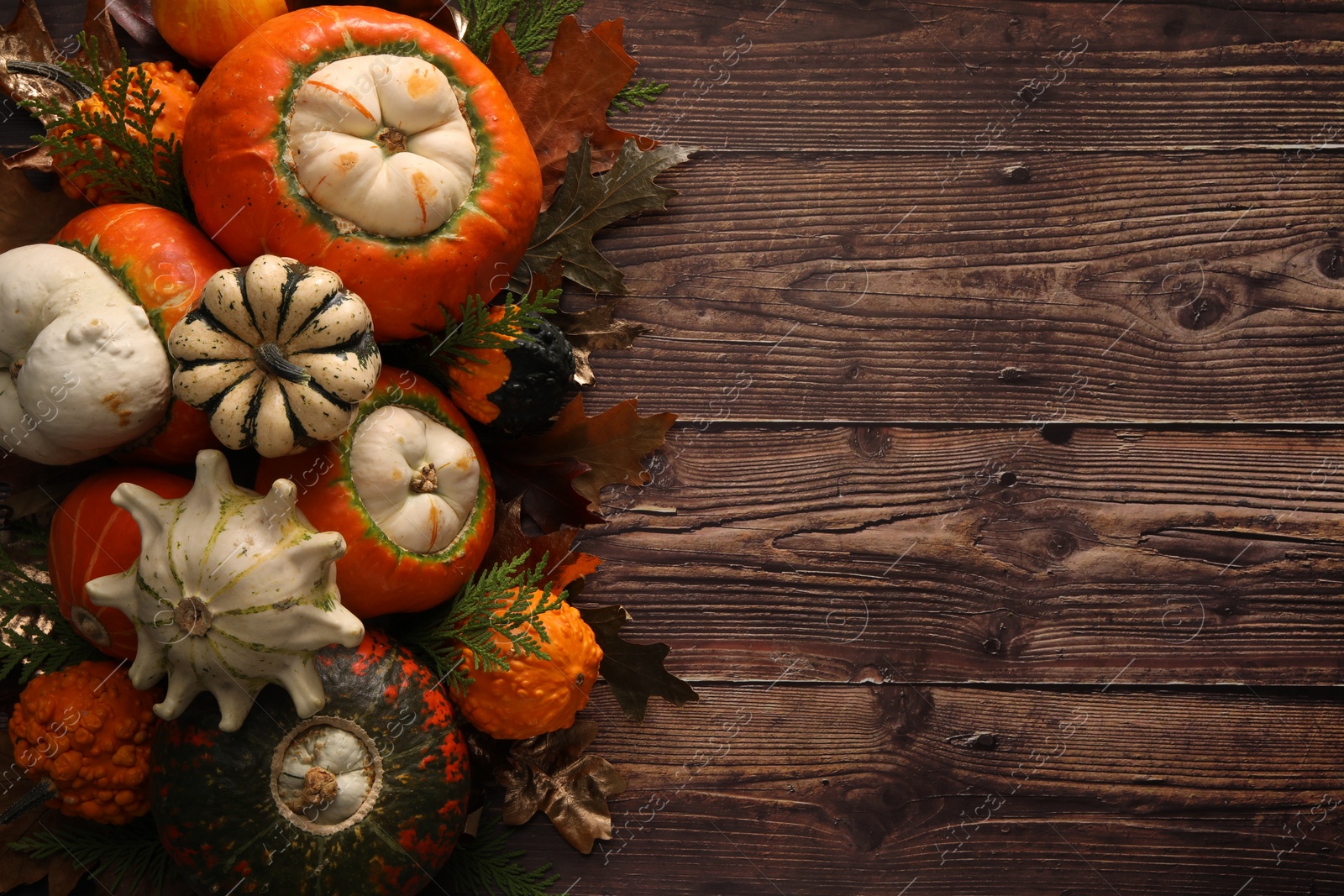 Photo of Flat lay composition with ripe pumpkins on wooden table. Space for text