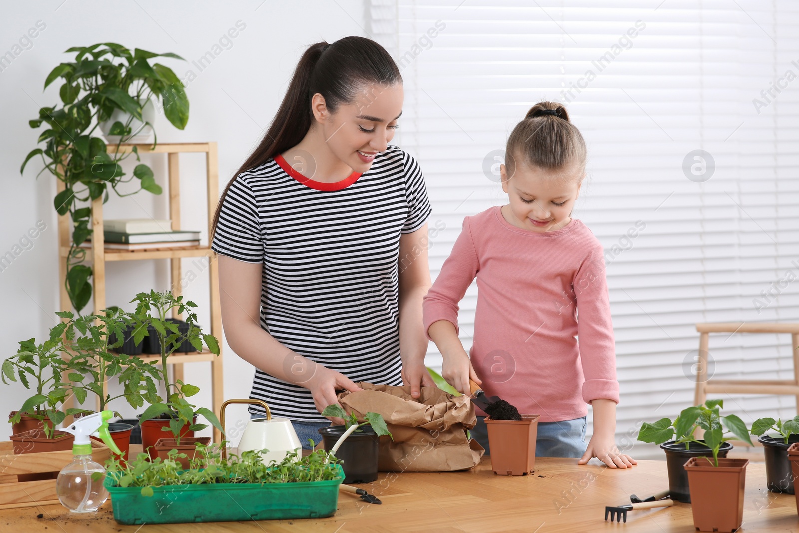 Photo of Mother and daughter planting seedling into pot together at wooden table in room