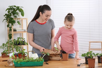 Mother and daughter planting seedling into pot together at wooden table in room