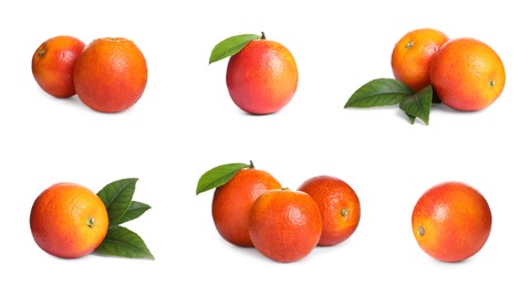 Set with ripe red oranges on white background. Banner design