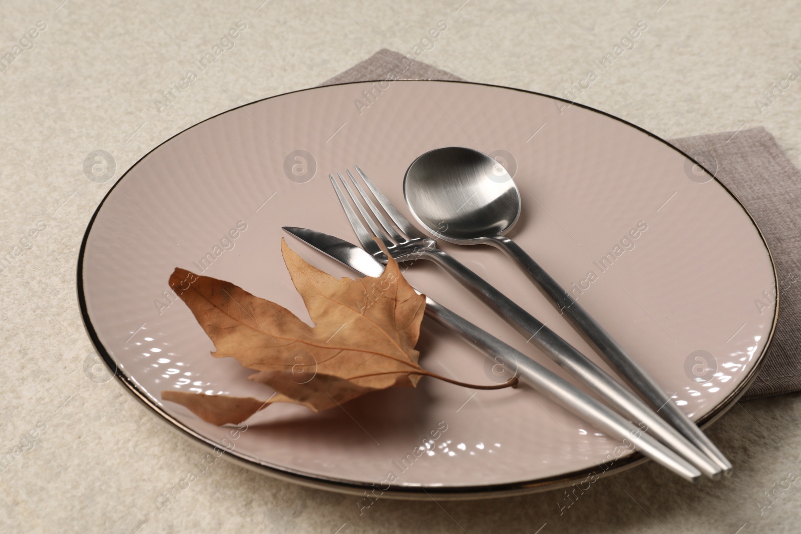 Photo of Stylish table setting with cutlery and dry leaf on light surface, closeup