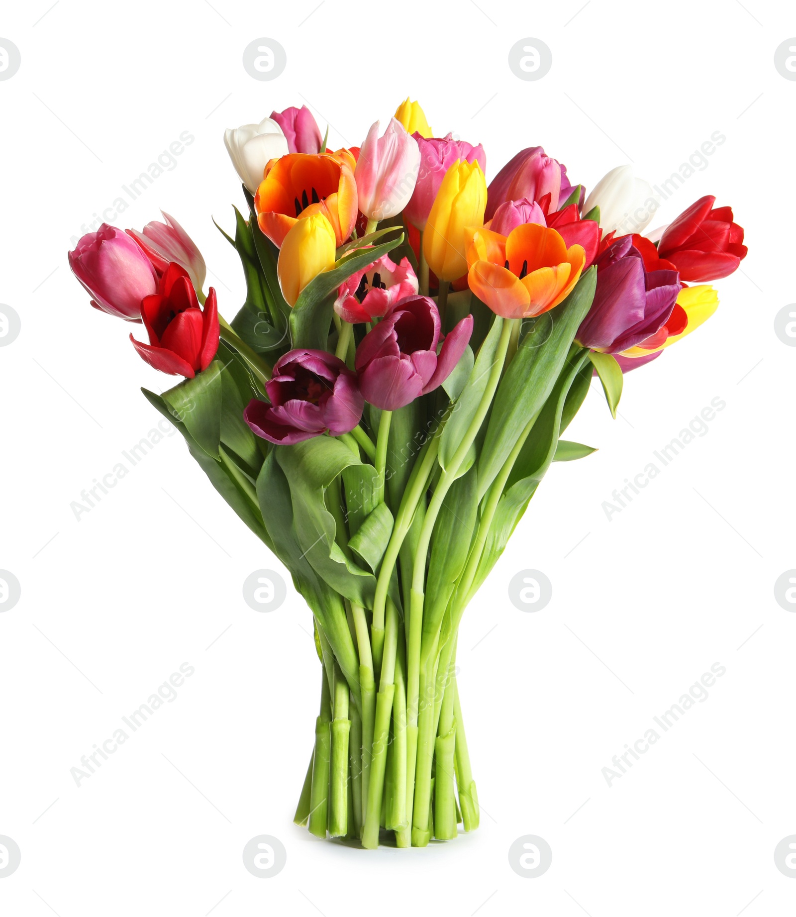 Photo of Beautiful bouquet of spring tulip flowers on white background