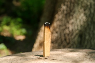 Photo of Smoldering palo santo stick on wooden stump outdoors