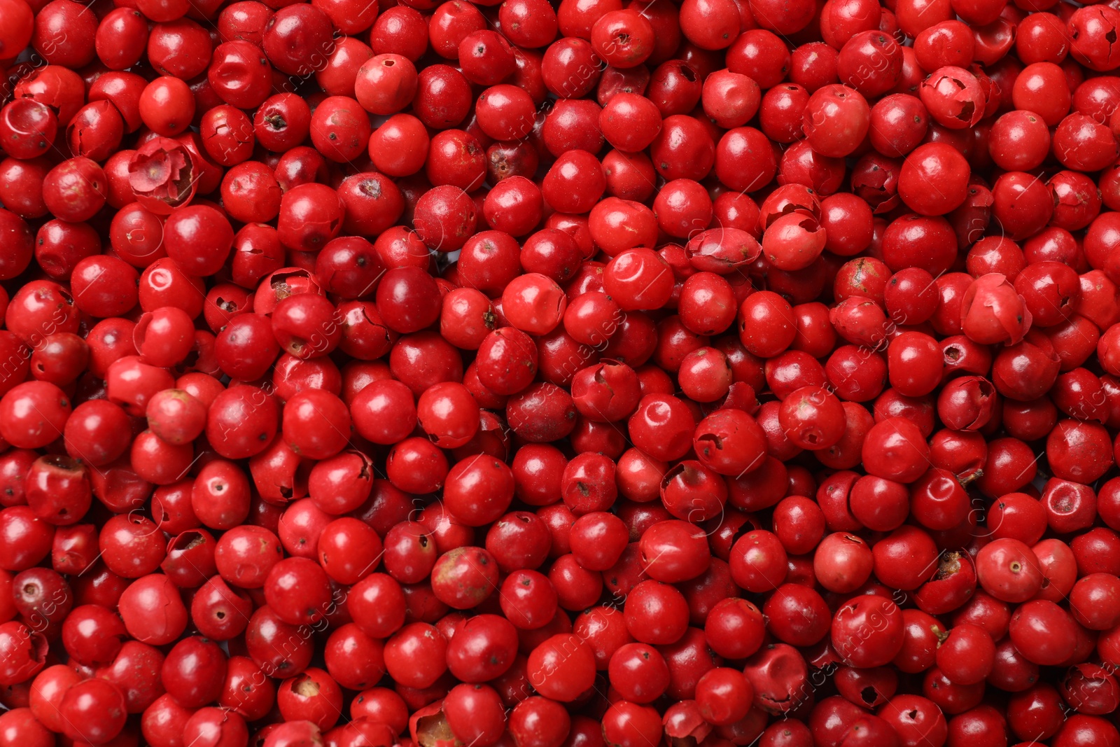 Photo of Aromatic spice. Red pepper as background, top view