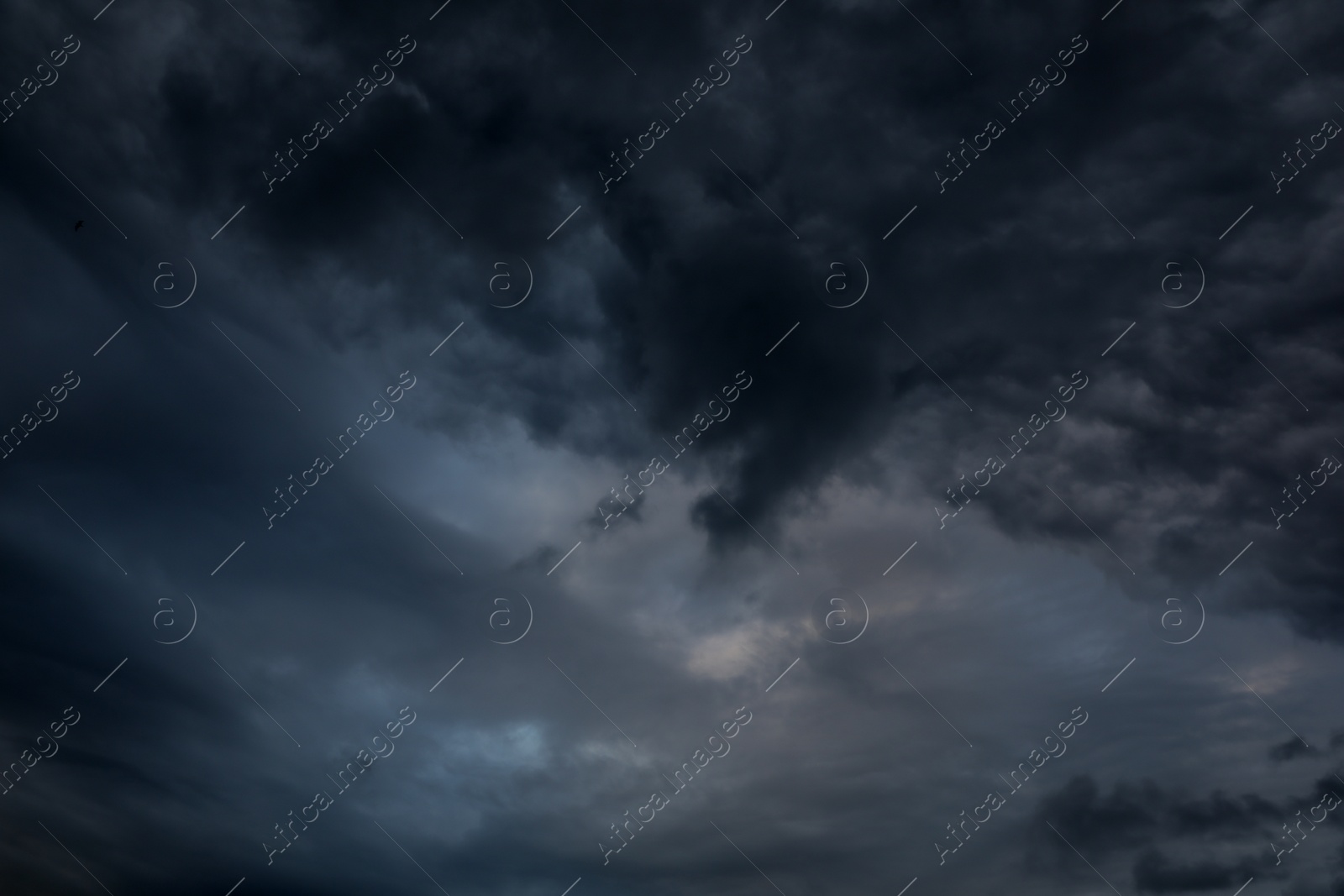 Photo of Picturesque view of bird in sky with heavy rainy clouds