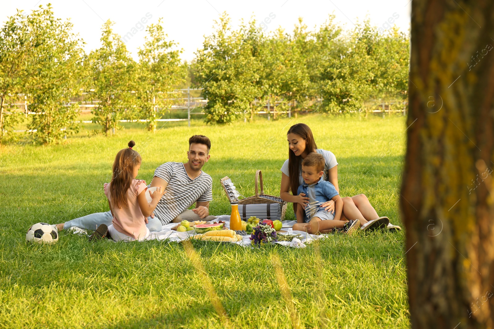 Photo of Happy family having picnic in park on sunny summer day