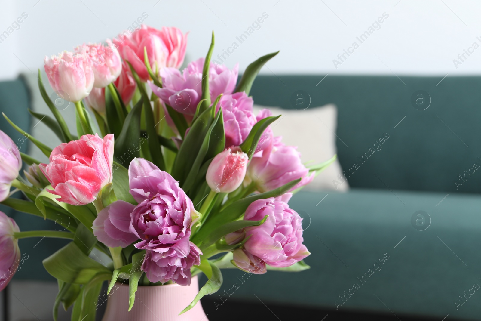 Photo of Beautiful bouquet of colorful tulip flowers indoors, closeup. Space for text