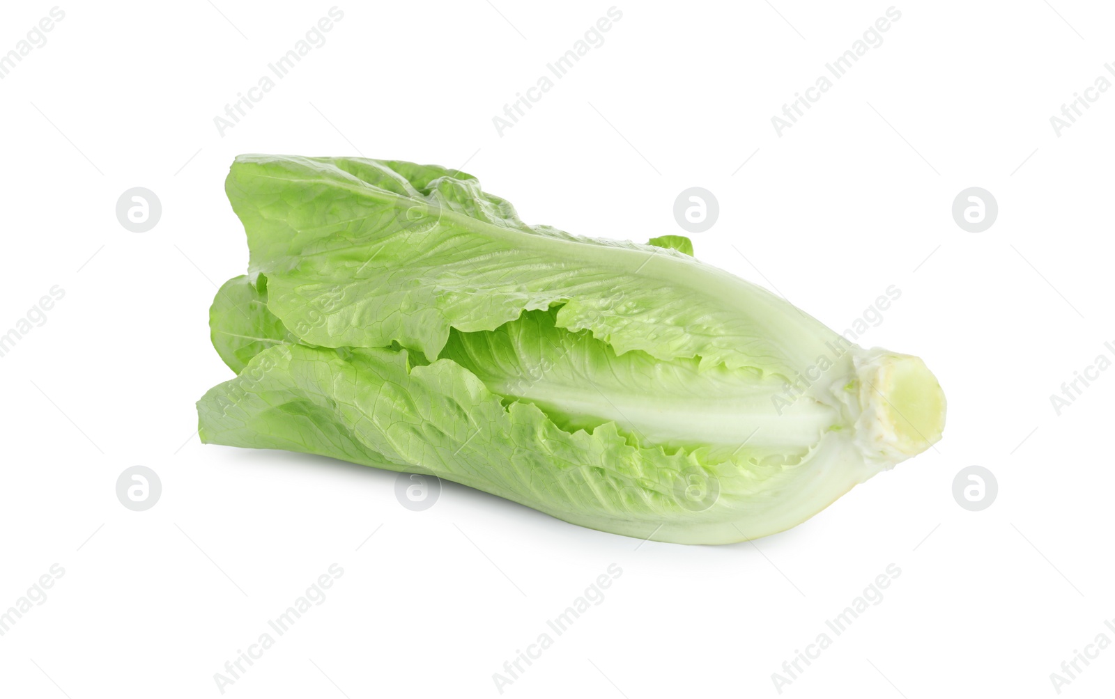 Photo of Fresh green romaine lettuce isolated on white