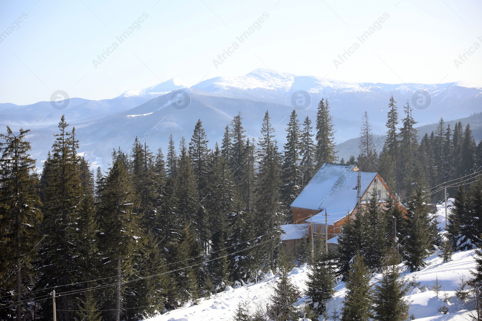 Photo of Picturesque view of snowy forest and cottage. Wintertime