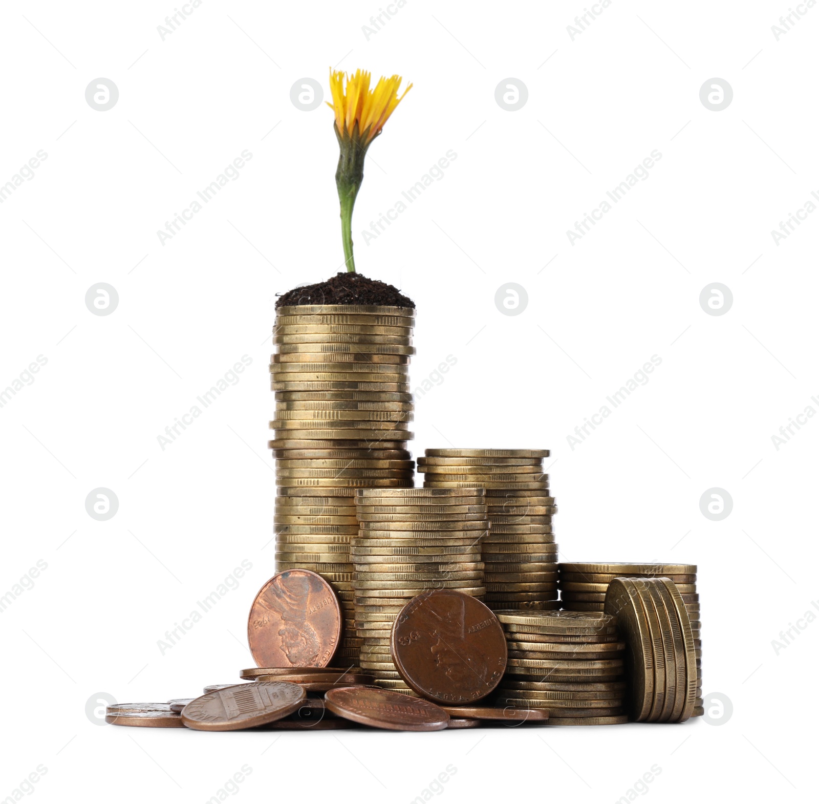 Photo of Stacks of coins with flower isolated on white. Investment concept