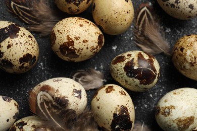 Photo of Speckled quail eggs and feathers on black textured table, closeup