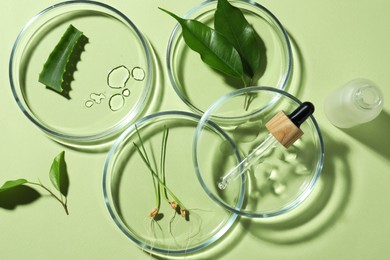 Flat lay composition with Petri dishes and plants on pale light green background