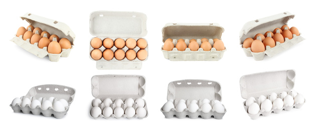 Image of Set of fresh eggs on white background, banner design 