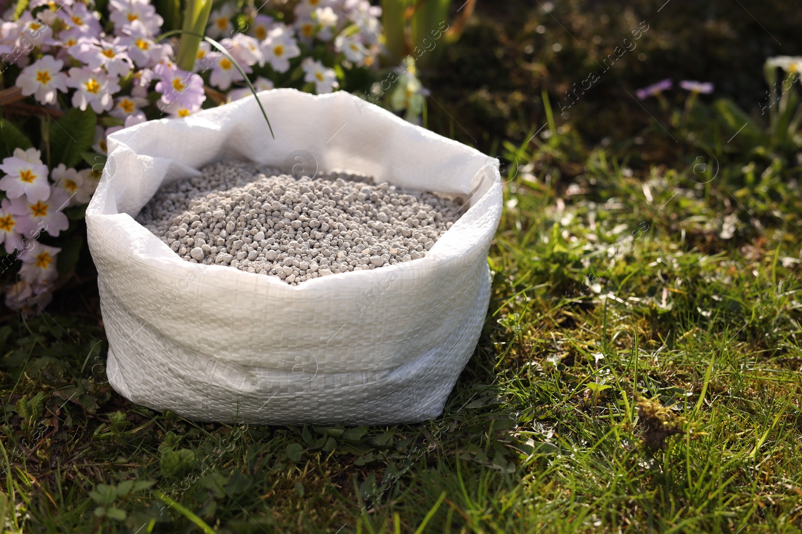 Photo of Fertilizer in bag on green grass outdoors