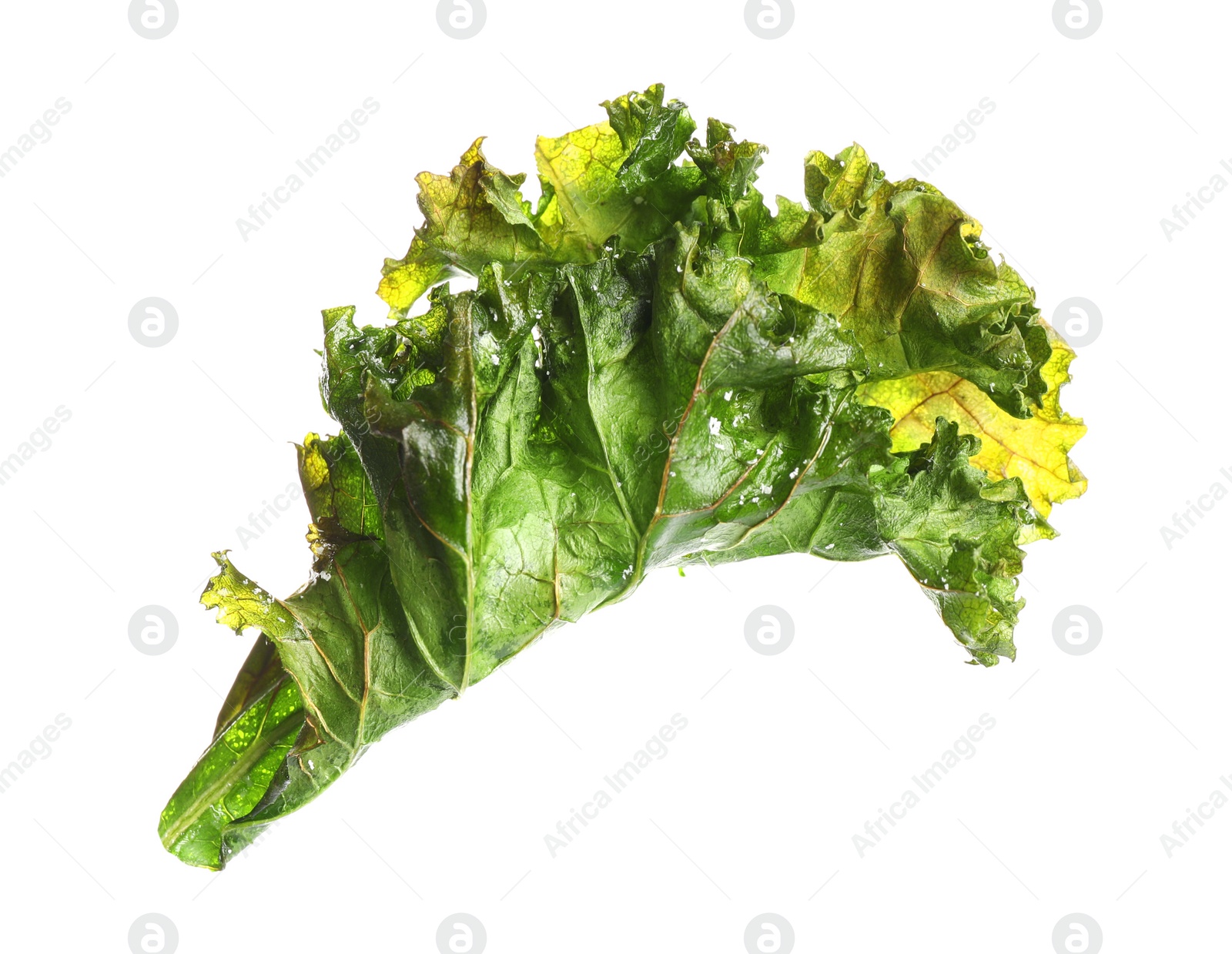 Photo of Tasty baked kale chip isolated on white