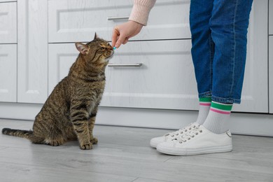 Woman giving  pill to cute cat at home, closeup. Vitamins for animal