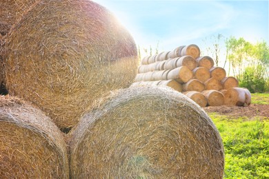 Many hay bales outdoors on sunny day, closeup