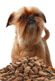 Image of Cute Brussels Griffon and feeding pile of dog food on white background