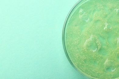 Photo of Petri dish with color liquid sample on light blue background, top view. Space for text