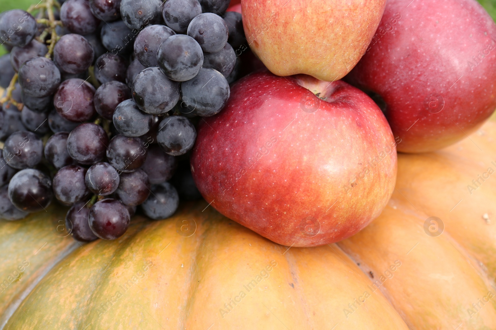 Photo of Ripe pumpkin, grapes and apples as background, closeup Autumn harvest